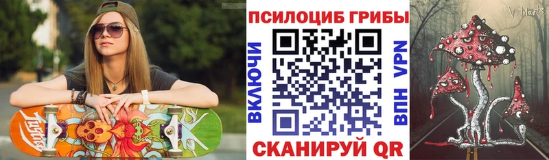 Псилоцибиновые грибы Cubensis Солигалич