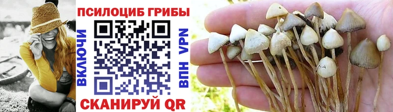 Псилоцибиновые грибы MAGIC MUSHROOMS  Солигалич 