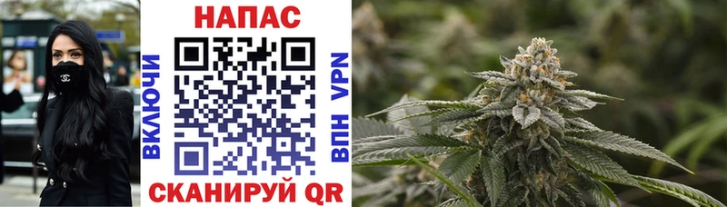 блэк спрут маркетплейс  где купить наркотик  Солигалич  Шишки марихуана THC 21% 
